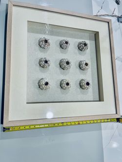 ZGallerie, Sea Urchin Shell Shadow Box Wall Art