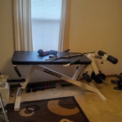 Work Out Bench