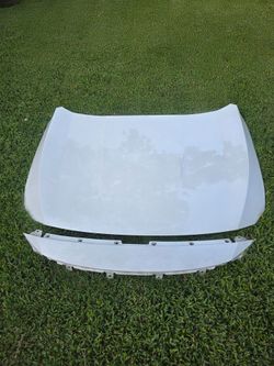 2020 honda accord hood