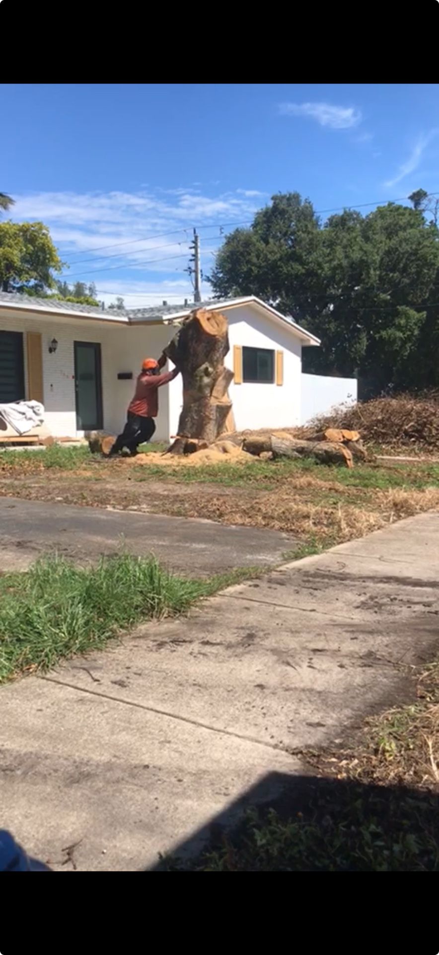 Stumps Grinding Molemos Troncos Y Raises
