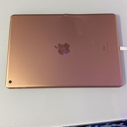 Apple iPad Rose Pink 