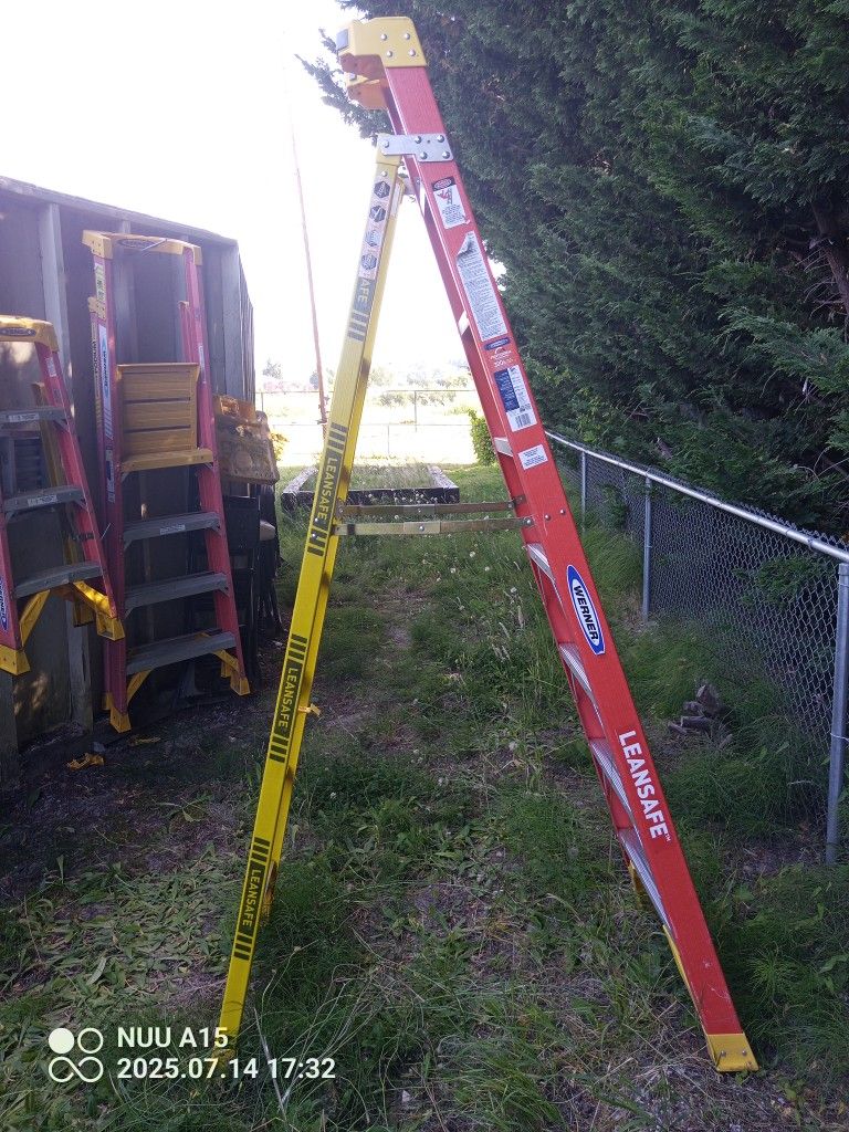8 Ft Warner ladder
