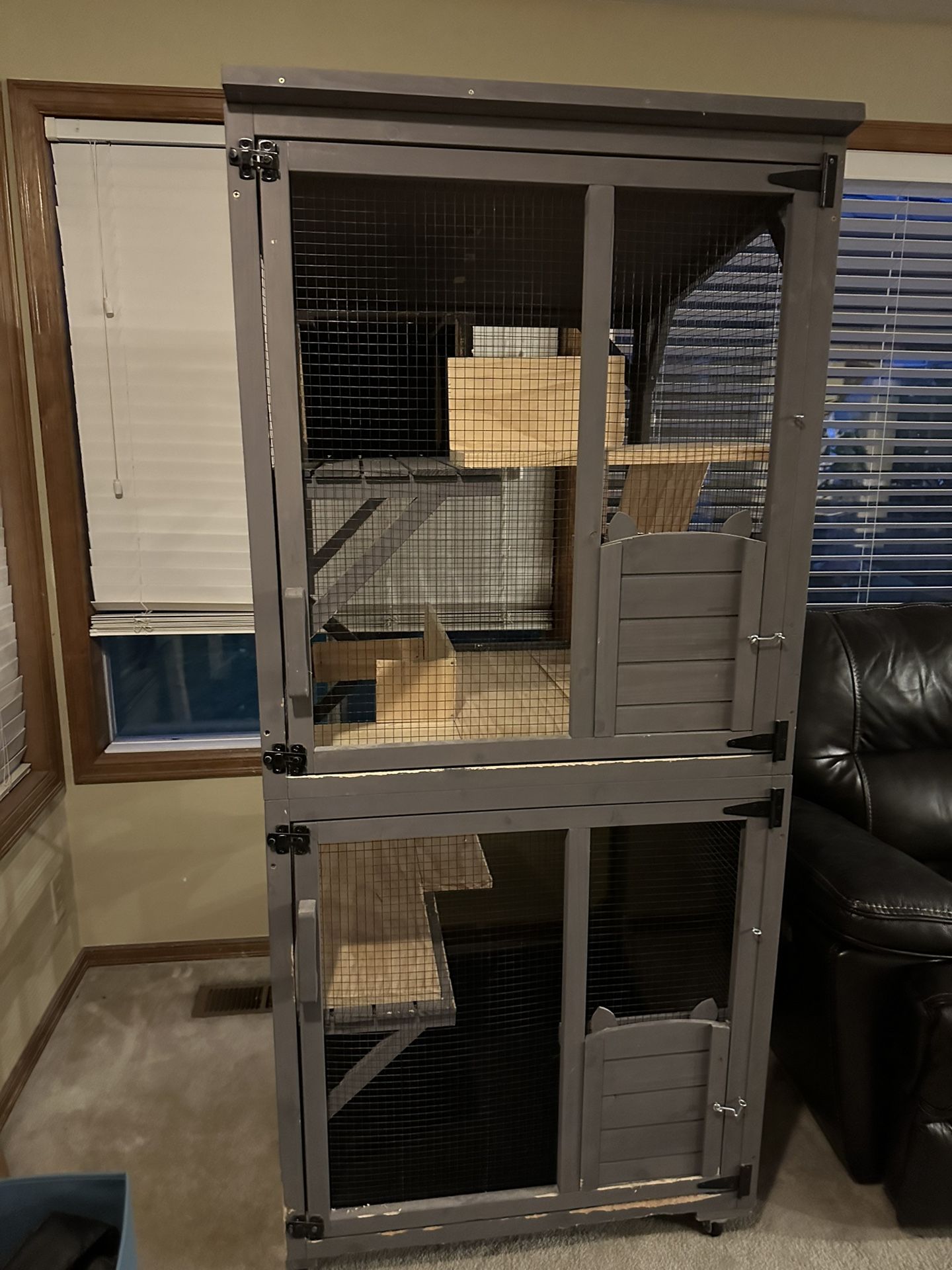 Catio