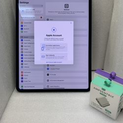 iPad Pro 13” M4 256GB Wi-Fi - Gray - Babcock 