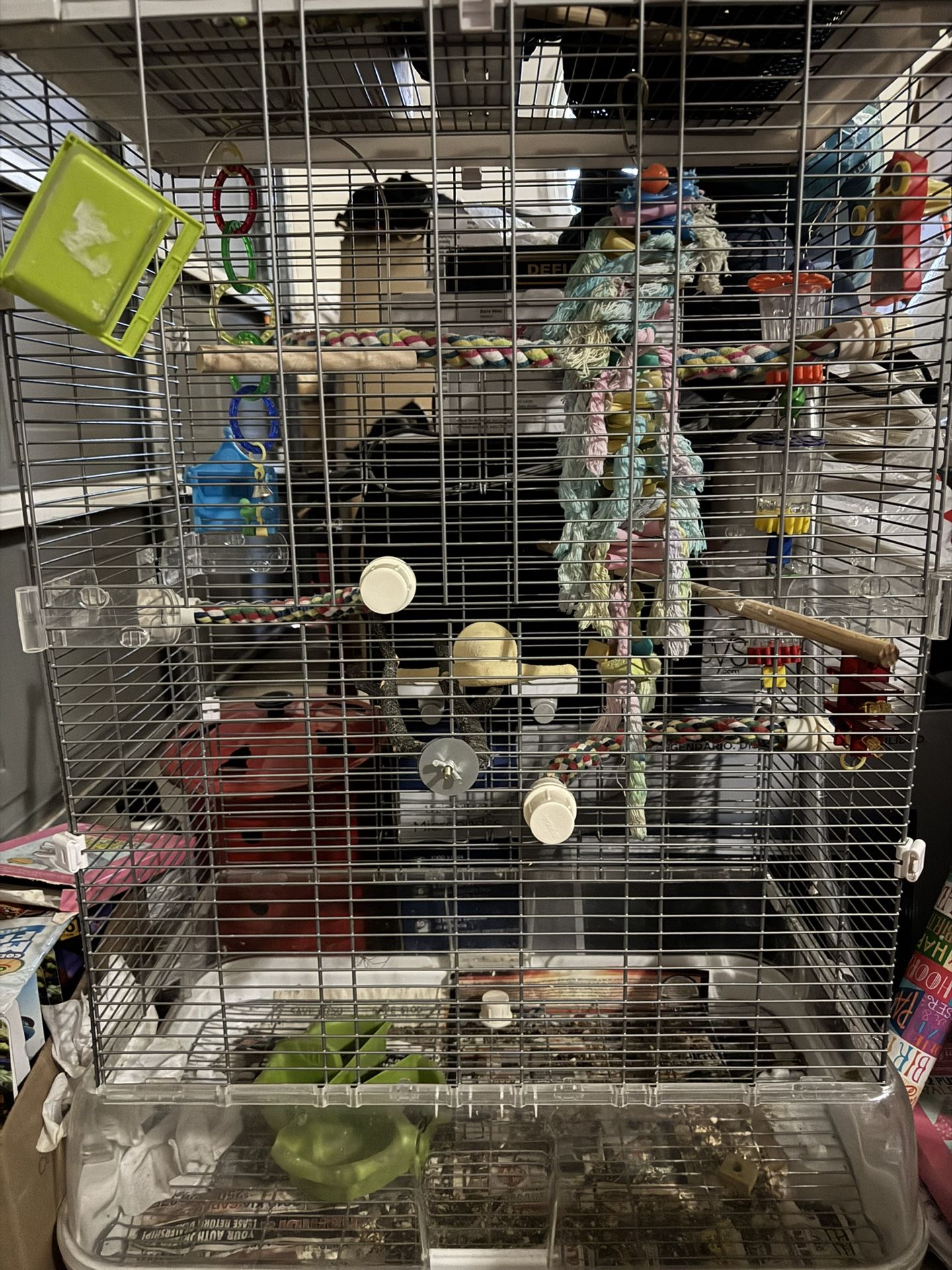 Bird Cage