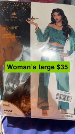 Disney Princess Jasmine Adult Costume Large