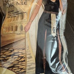 Halloween Costume