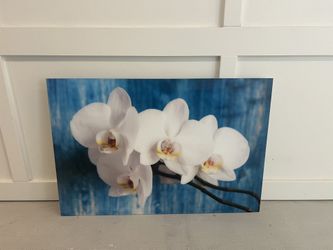 Acrylic Frame