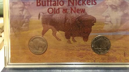 Vintage Buffalo Nickel Set