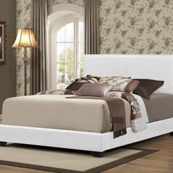 Brand New Queen Size Complete Bed 🛌 With Free Delivery 🚚 At Home 🏡 
