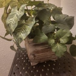 Small Artificial Plant 