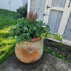 Outdoor Decor 