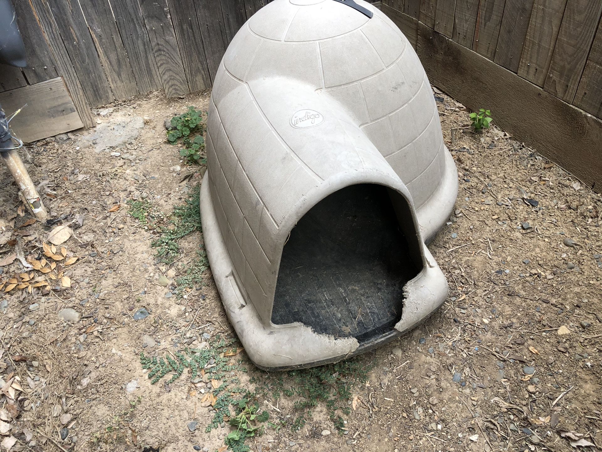 Igloo dog house for Sale in Sacramento, CA OfferUp