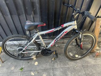 Bike 24”
