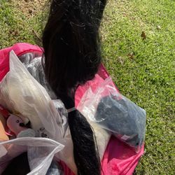 Black Wig