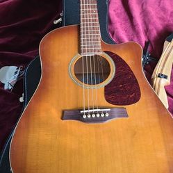 Seagull Entourage Rustic