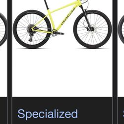 Specialized Rockhopper Bike