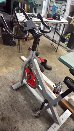 Sunny Exercise Bike