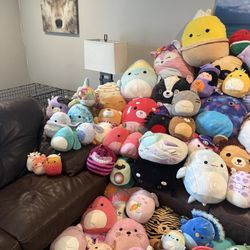 Large Squishmallow Collection 