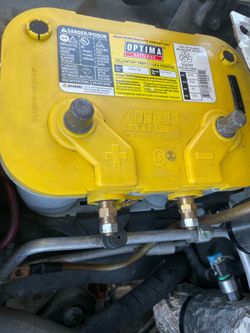 Yellow top Optima