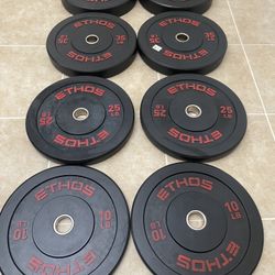 Ethos Weight plates 