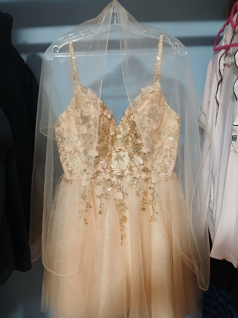 Ladivine Cinderella Champagne Short Party Dress
