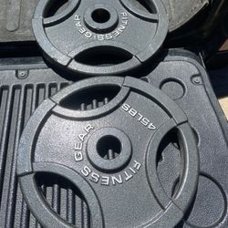 Olympic Style Weights 45 pounds 