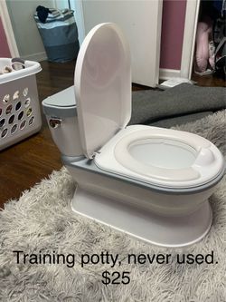 Training potty