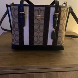 Mini Brown, Crème And Tan Coach Bag