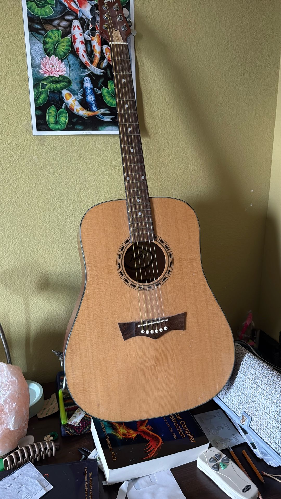 Peavey Acoustic Guitar