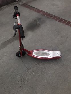 Scoter