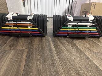 PowerBlock 80 lb (please read directions )