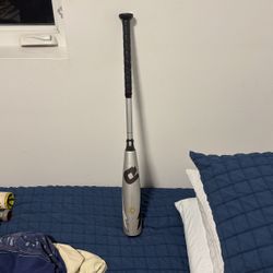 Demarini Voodoo Baseball Bat