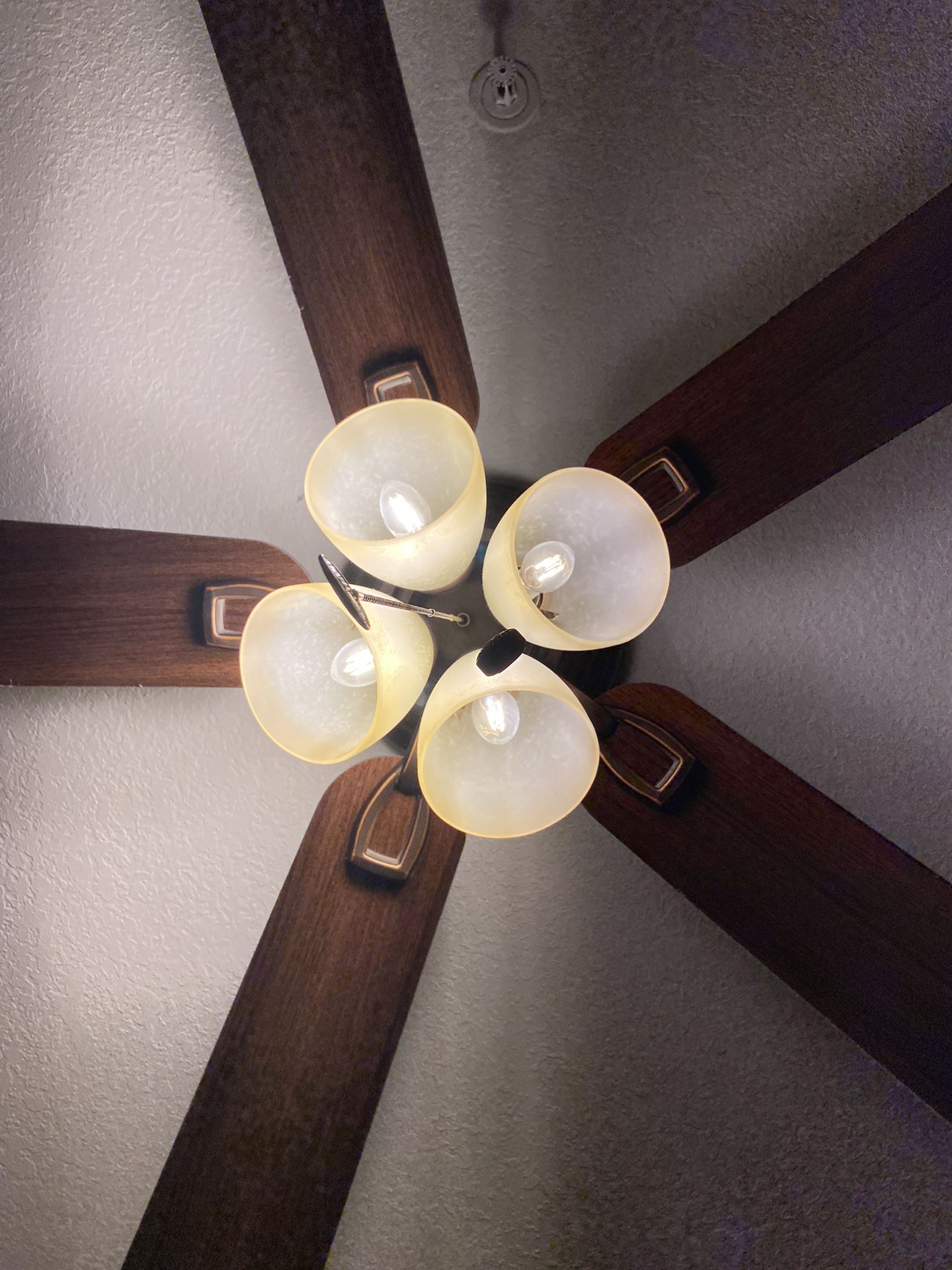 Ceiling Fan & Light