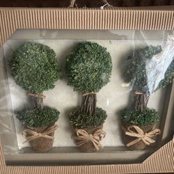 Cuadro Decorativo De Árboles 