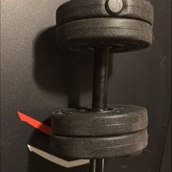 Weights 