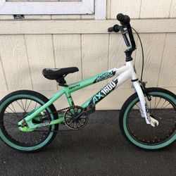 16 Inch Boys Or Girls Small Bike 