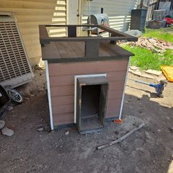 Dog House 