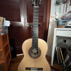 2024 Hanika Flamenco KF