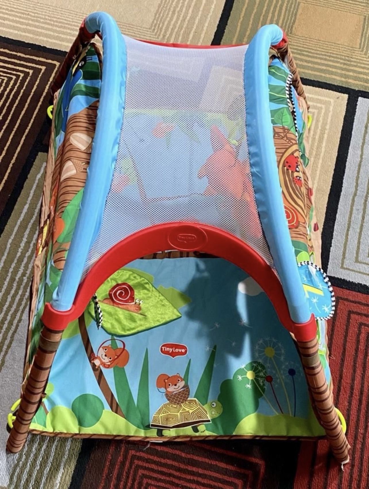 Baby Gym & Playmat