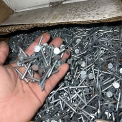 Roofing Nails