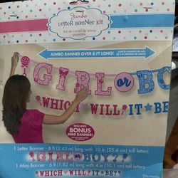 Girl or boy gender reveal banner