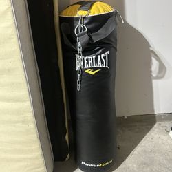 Everlast Punching Bag
