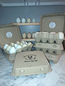 Fresh Duck and Chicken Eggs
