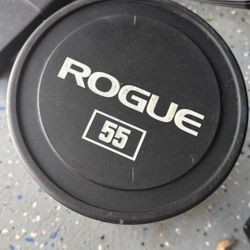 ROGUE RUBBER DUMBBELL 55lbs - 35 Lbs And 25LBS SET