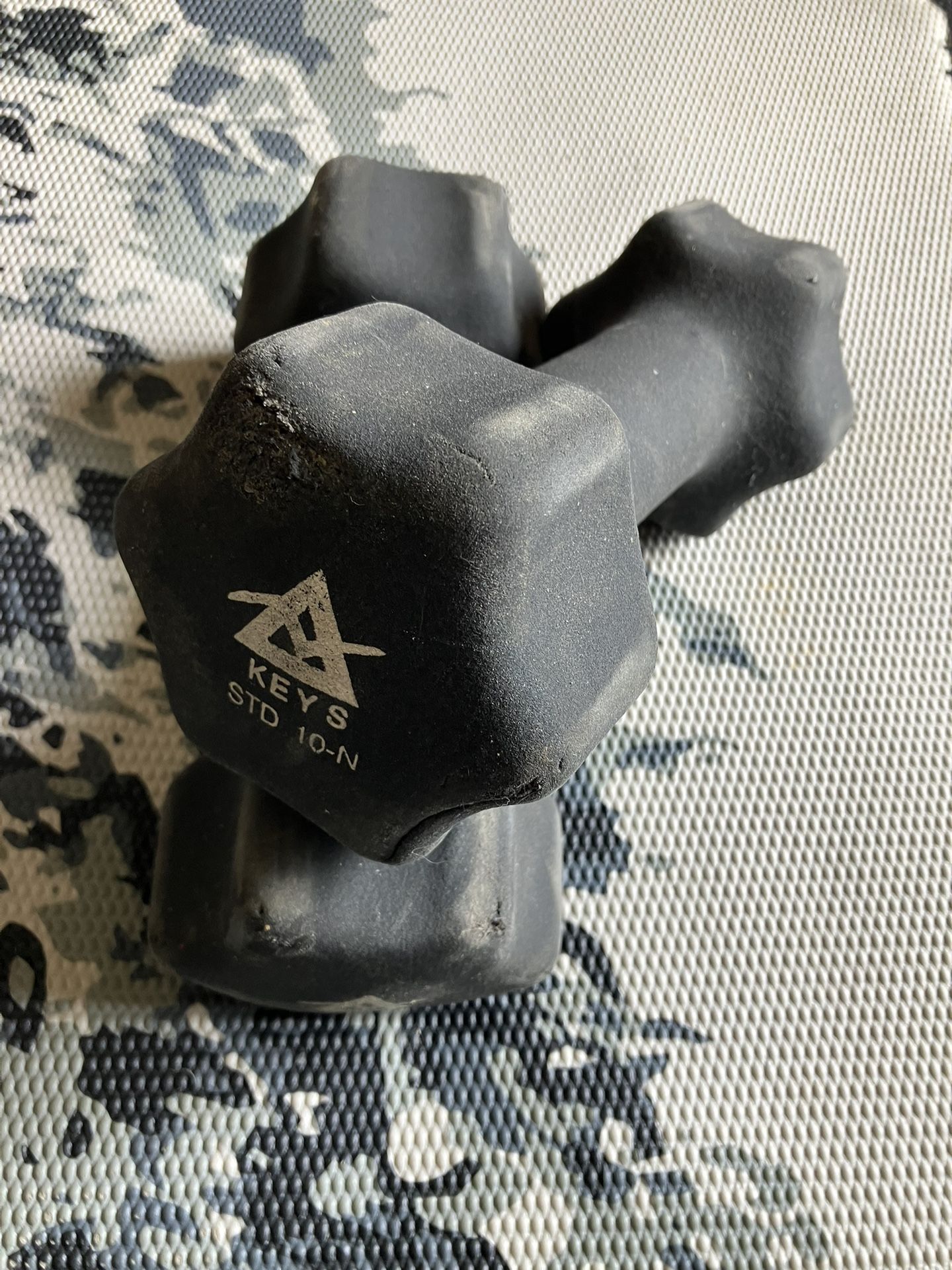 10 lbs dumbbells