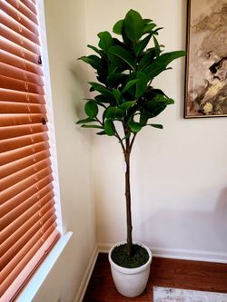 Studio McGee Threshold Ficus Tree Artifical Life Like Plant With Vase