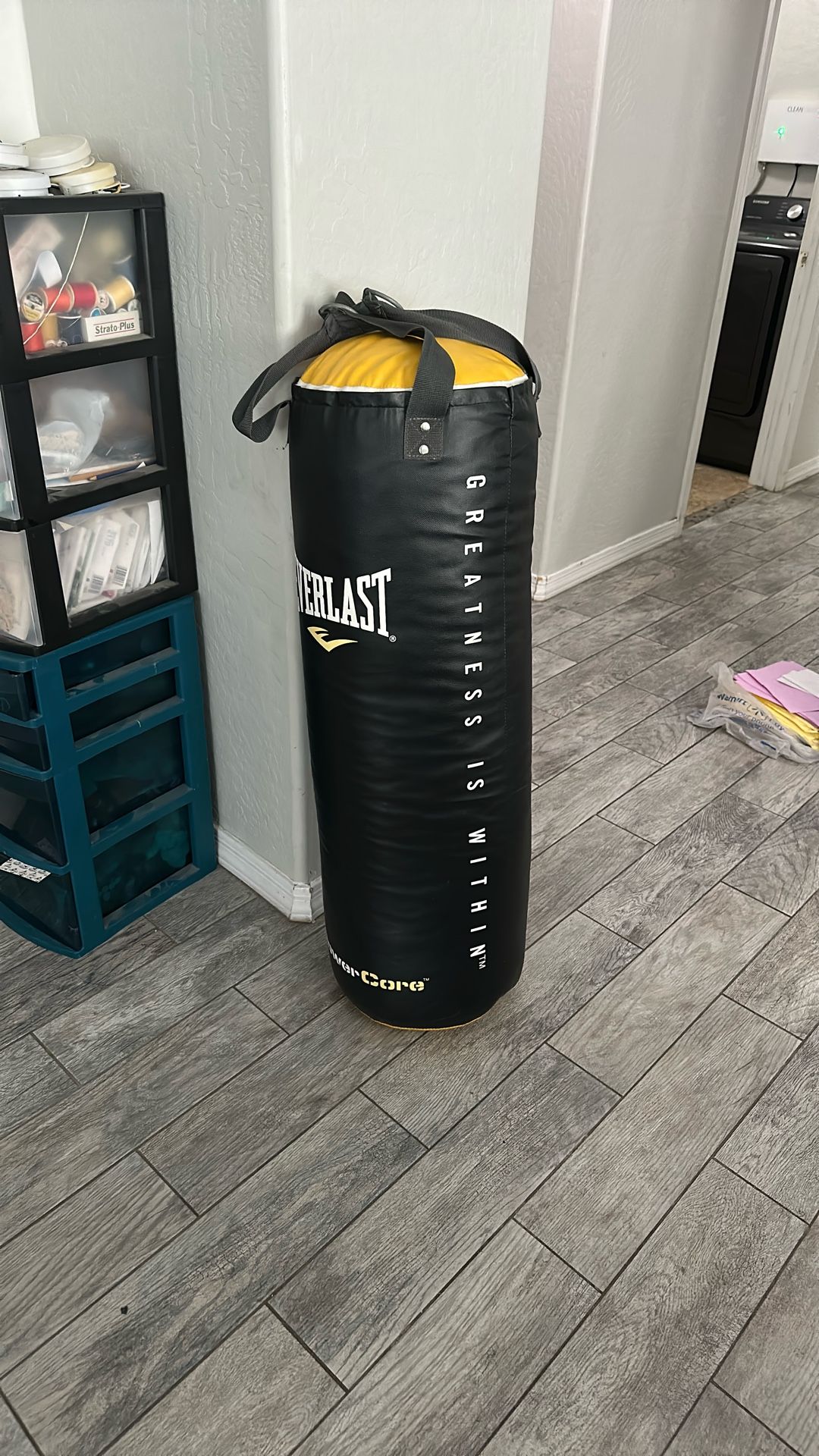 Punching Bag Gently Use Indoors