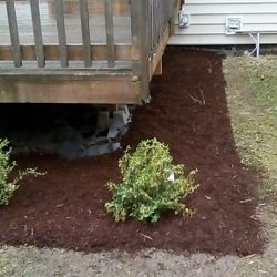 Weeding and putting in bark and new plants