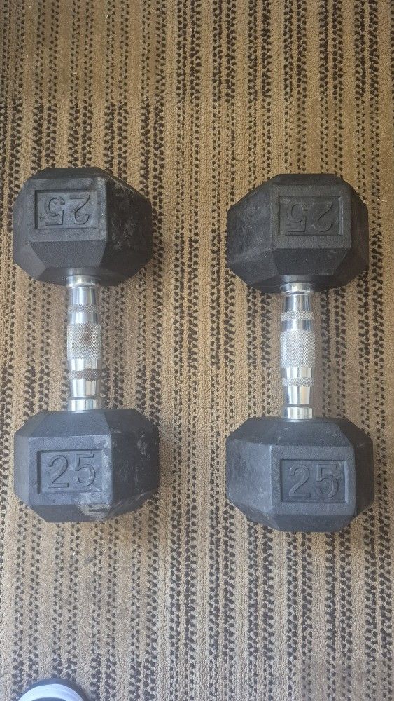 25lb Weights